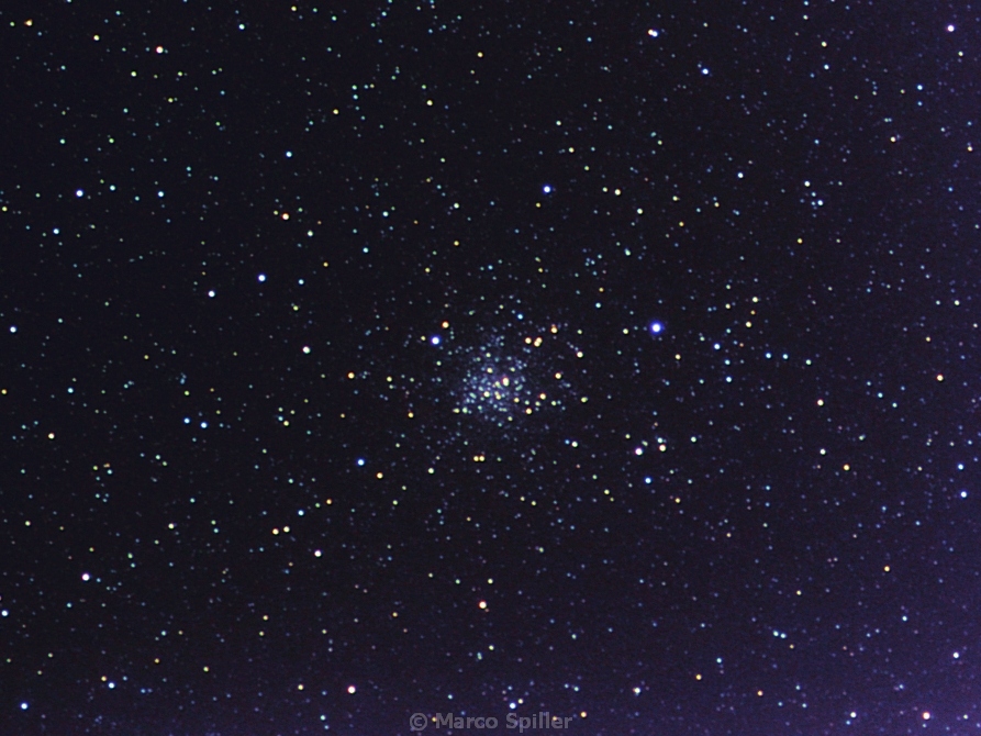 M 71 : open o globular cluster ?